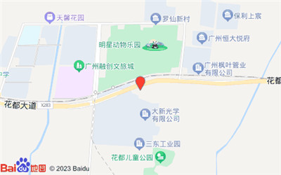 广州品茶的全面报告